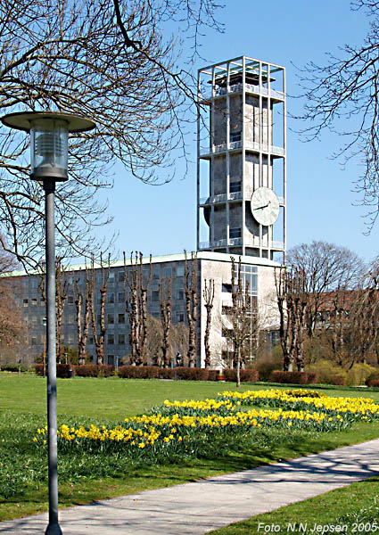 nowoczesna wieża ratusza projektu jacobsena w szarych barwach z ogromnym zegarem i fragmentem parku